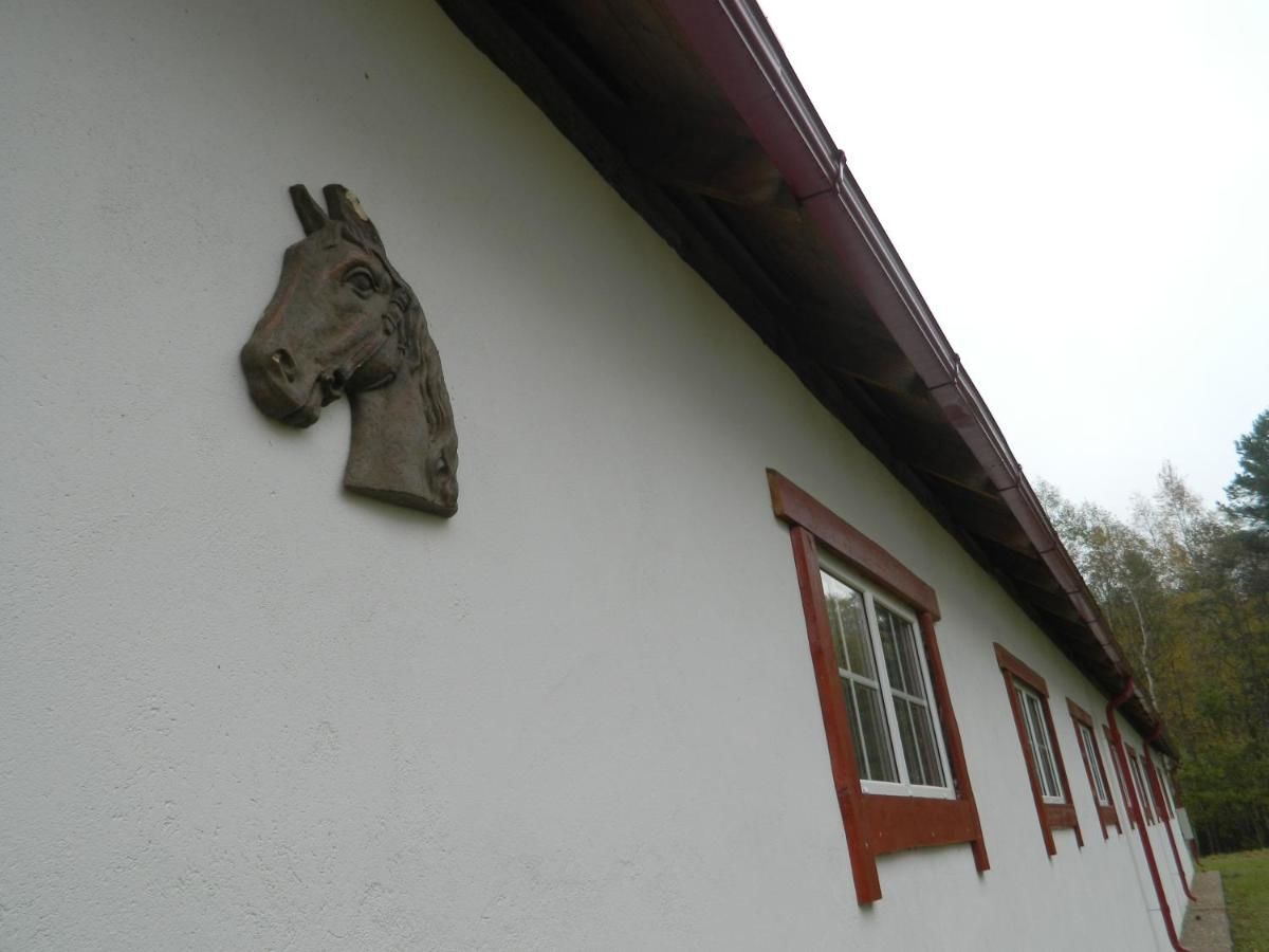 Дома для отпуска Klajumi Kaplava-33
